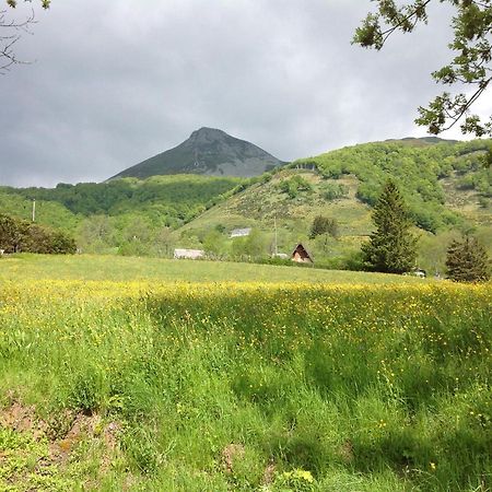 Vila Chalet Avec Vue Panoramique Sur Le Plomb Du Cantal Saint-Jacques-des-Blats Exteriér fotografie