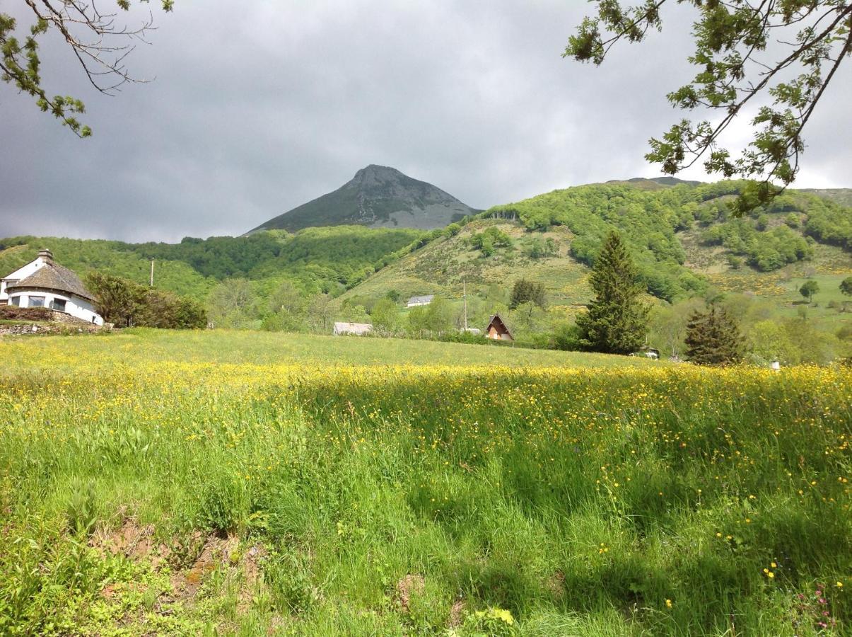 Vila Chalet Avec Vue Panoramique Sur Le Plomb Du Cantal Saint-Jacques-des-Blats Exteriér fotografie