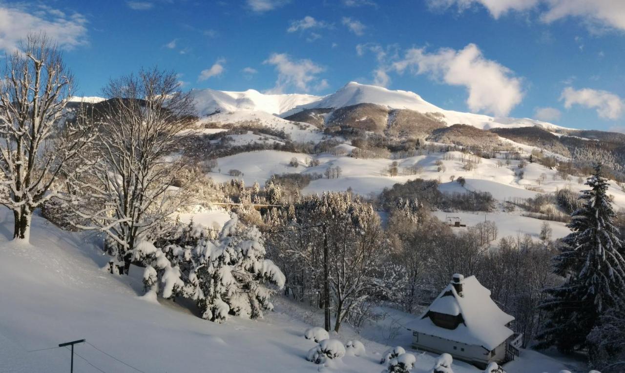 Vila Chalet Avec Vue Panoramique Sur Le Plomb Du Cantal Saint-Jacques-des-Blats Exteriér fotografie