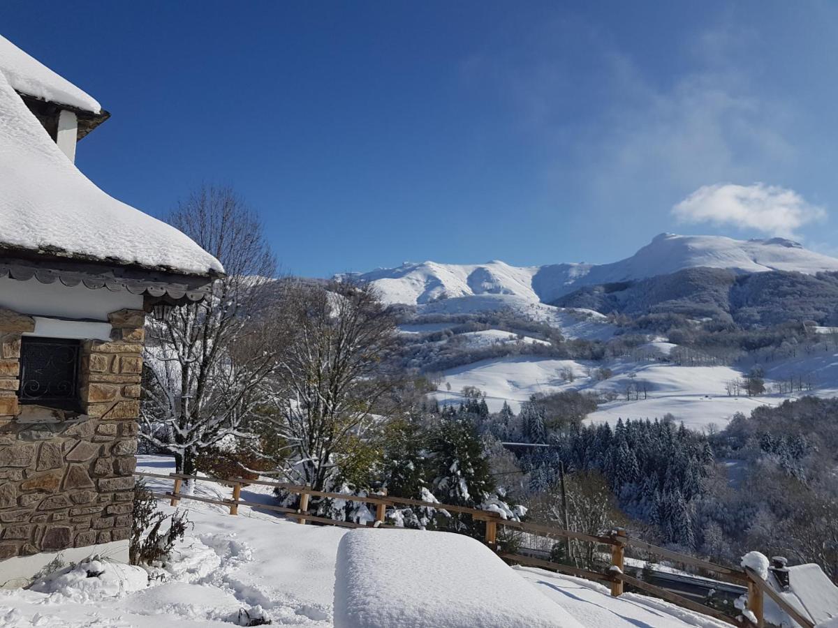 Vila Chalet Avec Vue Panoramique Sur Le Plomb Du Cantal Saint-Jacques-des-Blats Exteriér fotografie