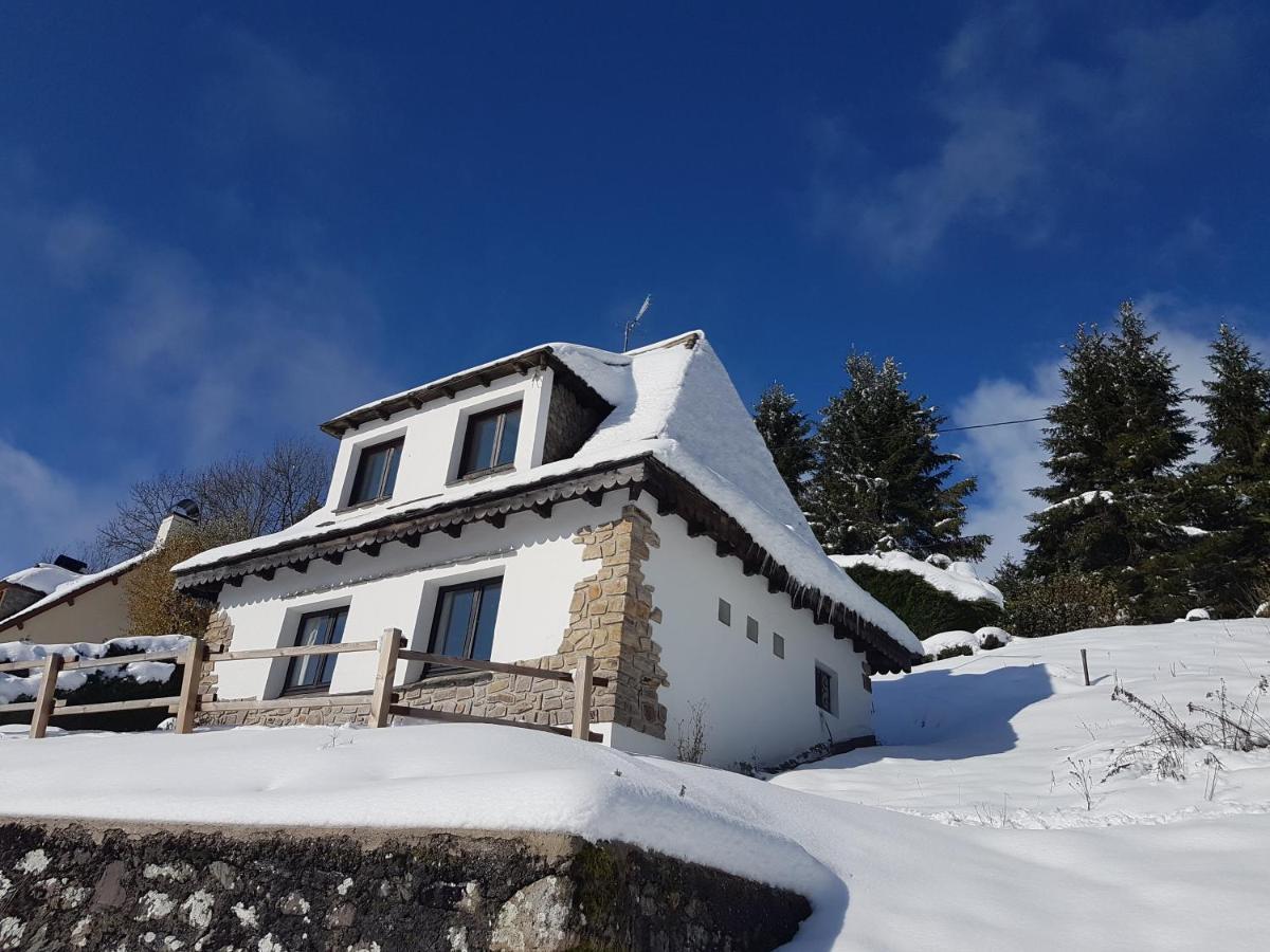 Vila Chalet Avec Vue Panoramique Sur Le Plomb Du Cantal Saint-Jacques-des-Blats Exteriér fotografie