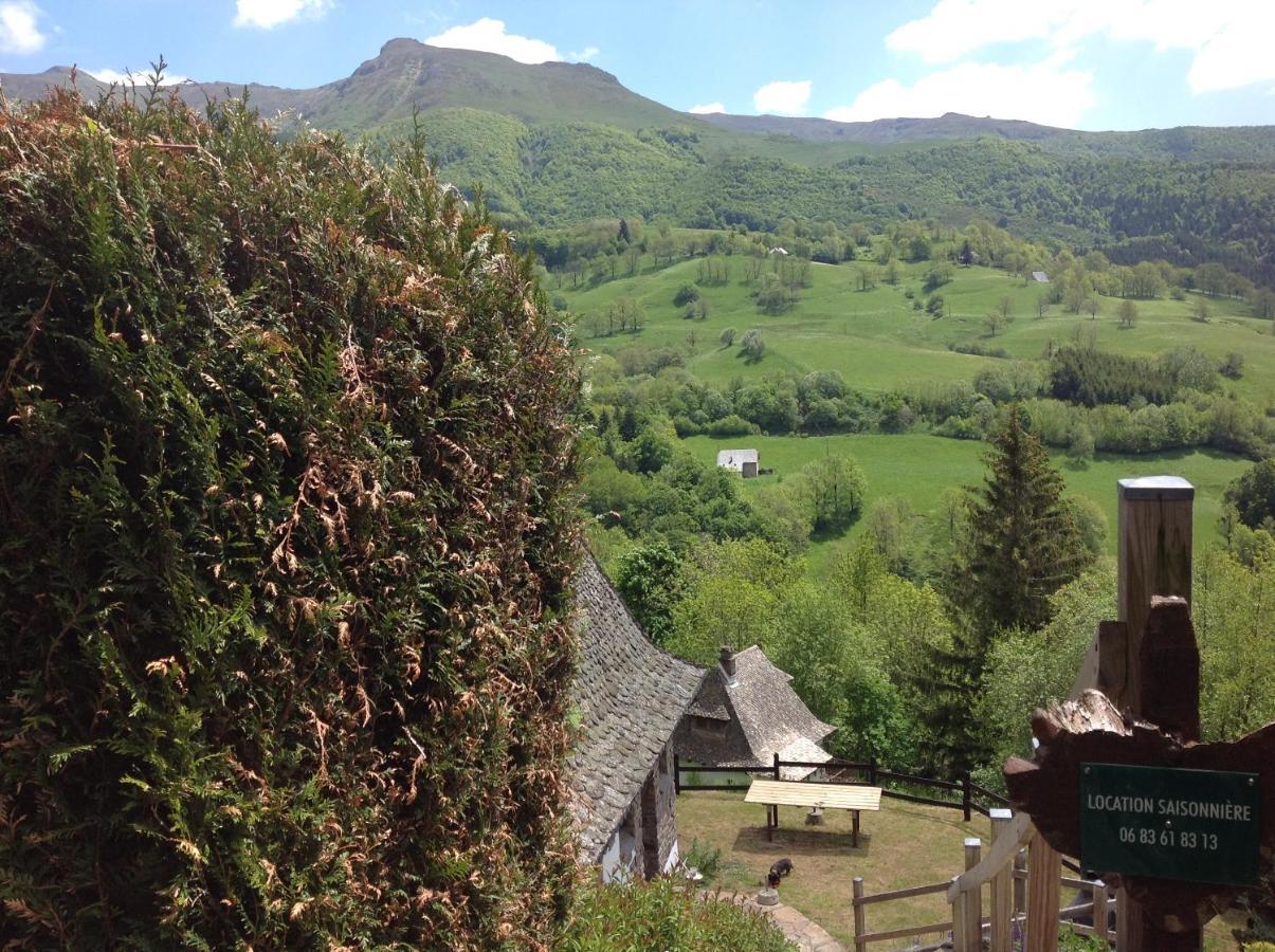 Vila Chalet Avec Vue Panoramique Sur Le Plomb Du Cantal Saint-Jacques-des-Blats Exteriér fotografie