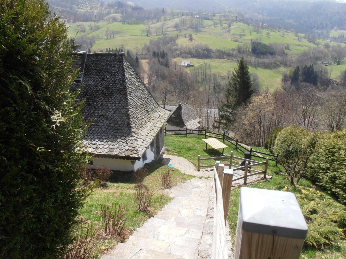 Vila Chalet Avec Vue Panoramique Sur Le Plomb Du Cantal Saint-Jacques-des-Blats Exteriér fotografie