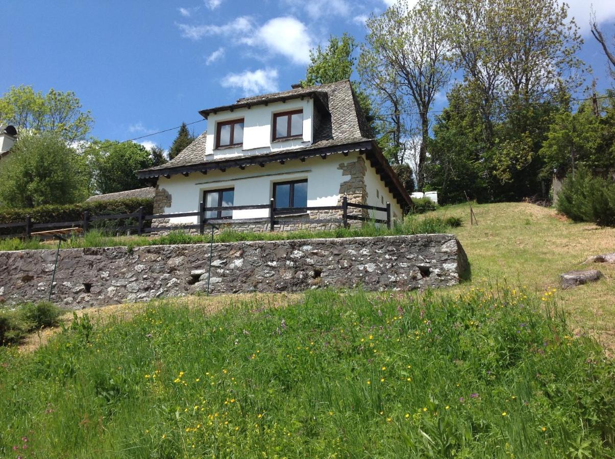 Vila Chalet Avec Vue Panoramique Sur Le Plomb Du Cantal Saint-Jacques-des-Blats Exteriér fotografie