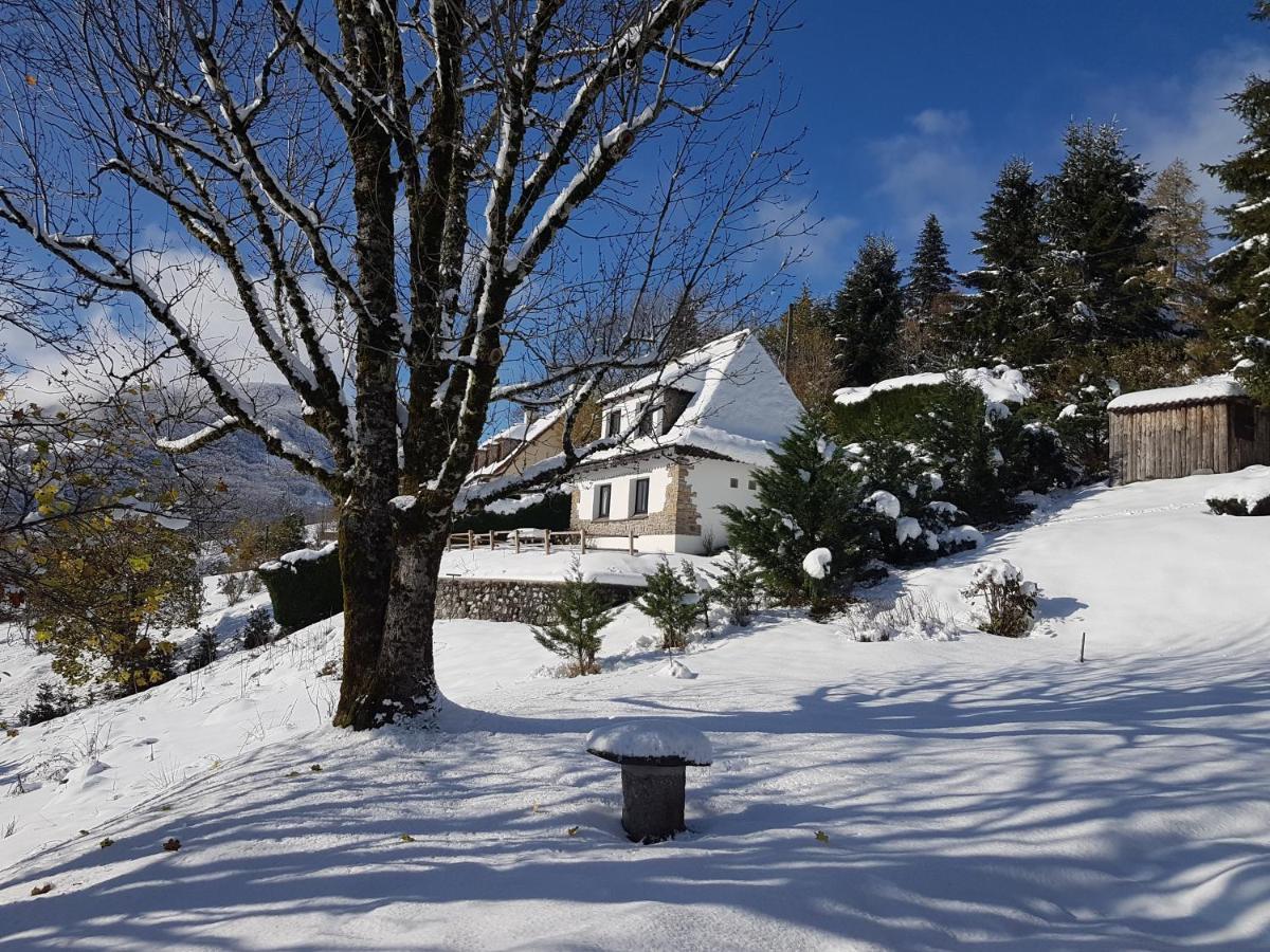 Vila Chalet Avec Vue Panoramique Sur Le Plomb Du Cantal Saint-Jacques-des-Blats Exteriér fotografie