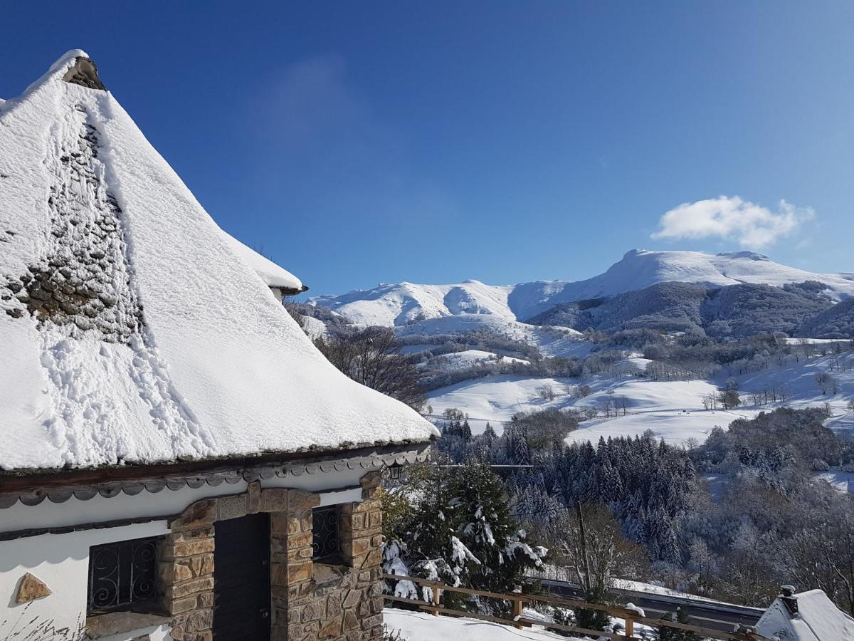 Vila Chalet Avec Vue Panoramique Sur Le Plomb Du Cantal Saint-Jacques-des-Blats Exteriér fotografie