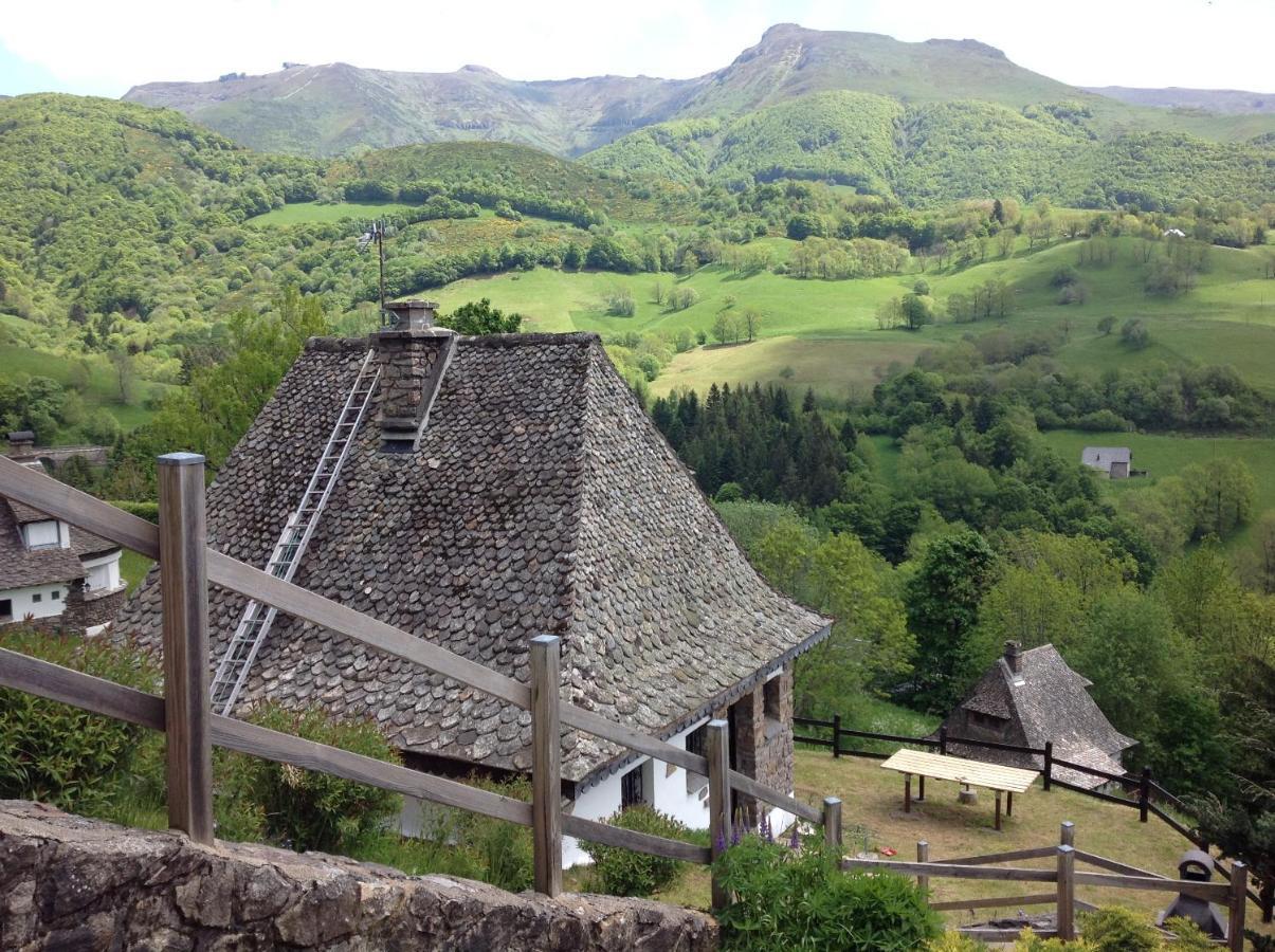 Vila Chalet Avec Vue Panoramique Sur Le Plomb Du Cantal Saint-Jacques-des-Blats Exteriér fotografie