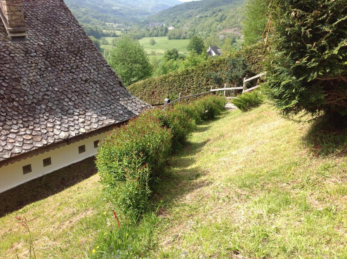 Vila Chalet Avec Vue Panoramique Sur Le Plomb Du Cantal Saint-Jacques-des-Blats Exteriér fotografie